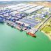Logistics trọn gói cho nông nghiệp - THILOGI góp phần mang nông sản Việt ra thế giới - 1