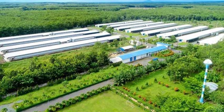 Thép cán nguội: Giải pháp tiên tiến cho sự phát triển bền vững - 3