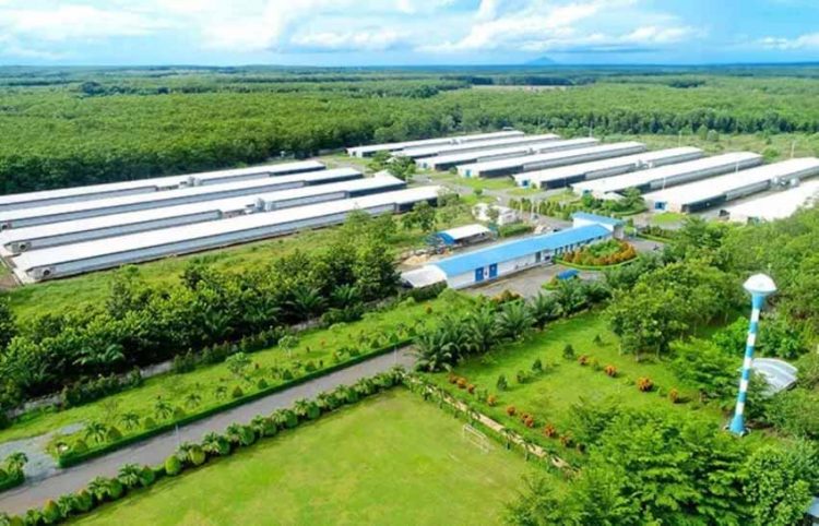 Thép cán nguội: Giải pháp tiên tiến cho sự phát triển bền vững - 3