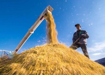 Suy ngẫm: Người nông dân thông minh - 2