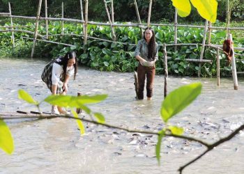 Những bến sông vui - 2