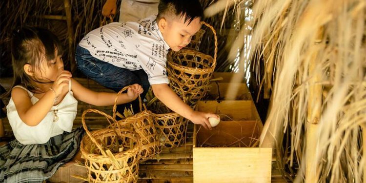 Fusion tập đoàn khách sạn và nghỉ dưỡng hướng đến sử dụng trứng gà nuôi thả vào năm 2025