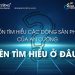 Muốn tìm hiểu các dòng sản phẩm của An Cường, nên tìm hiểu ở đâu?