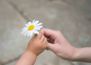 Sống ở trên đời phải có một tấm lòng... - 3