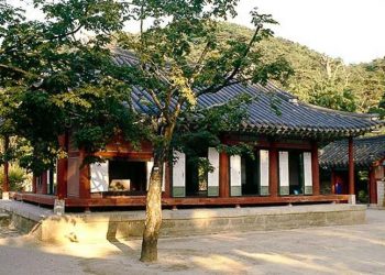 Ai bảo nho sinh là cổ? - 3