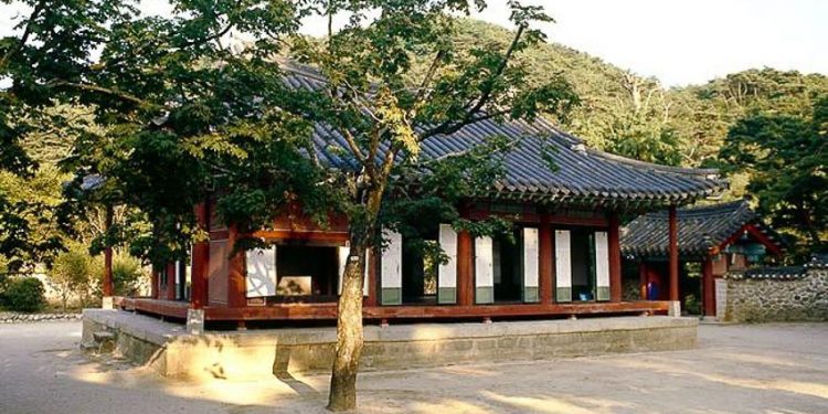 Ai bảo nho sinh là cổ? - 3