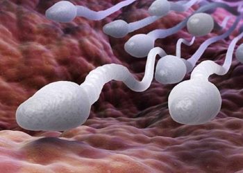 Nam giới vô tinh làm sao có con?