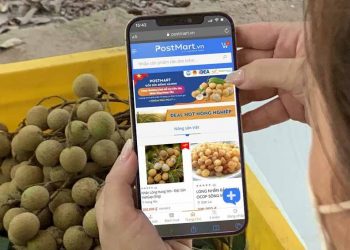 Vietnam Post đưa nông sản Việt tới người tiêu dùng trực tuyến - 1