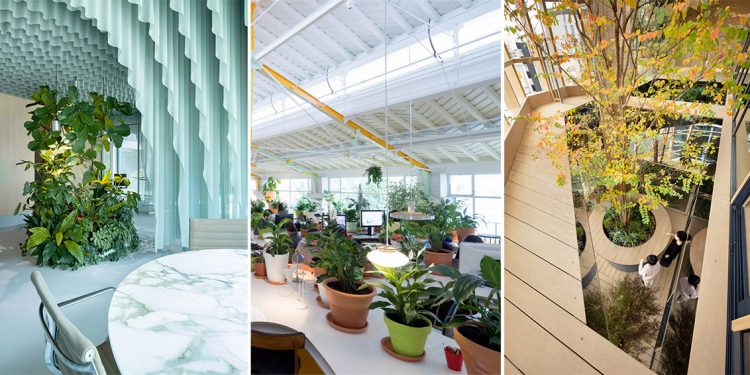 Khám phá mười nội thất văn phòng không gian xanh - 11