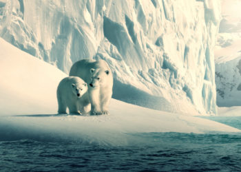 11 phim tài liệu nên xem trên Netflix để thay đổi cách suy nghĩ về cuộc sống