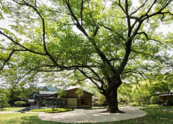 Water Cherry Villa mang đậm phong cách Nhật Bản vừa đương đại vừa truyền thống - 1