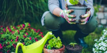 Làm vườn giúp giải tỏa căng thẳng và sống hạnh phúc hơn mỗi ngày