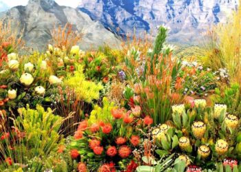 Ghé vương quốc hoa chỉ siêu rực rỡ sau hỏa hoạn - 2