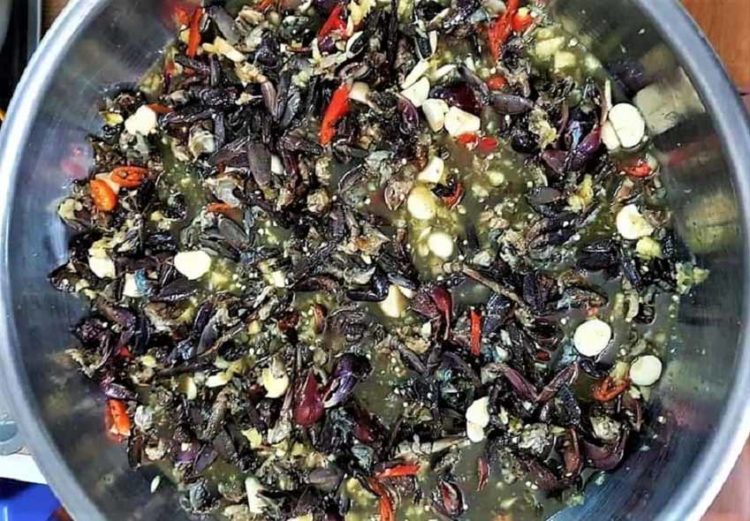 Muối ba khía: Nghề di sản ở Đất Mũi - 1