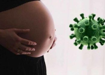 Mang thai trong thời Covid-19 - 3