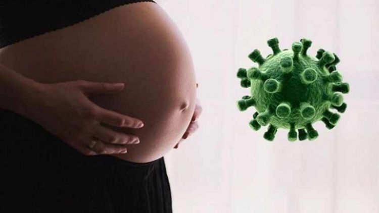 Mang thai trong thời Covid-19 - 3