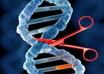 Nobel hóa học cho chiếc kéo phân tử - Crispr/Cas9 - 3