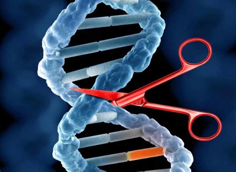 Nobel hóa học cho chiếc kéo phân tử - Crispr/Cas9 - 3