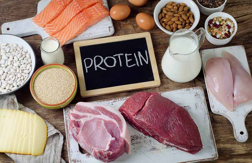 Chế độ ăn giàu protein giúp phụ nữ bảo vệ buồng trứng - 1