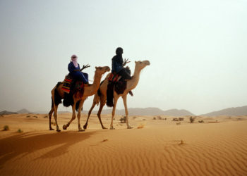 Trở lại sa mạc Sahara