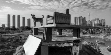 Nhiếp ảnh gia Hoàng Thế Nhiệm khám phá nơi trú ngụ của một gia đình chó