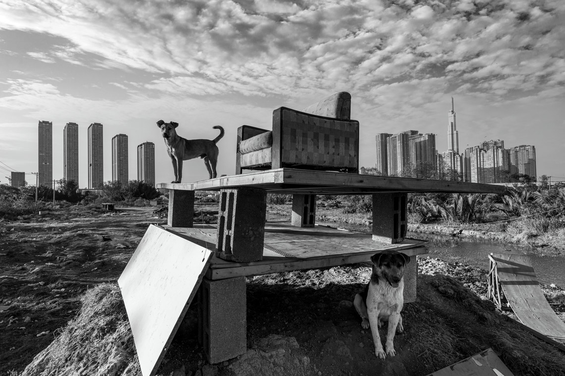 Nhiếp ảnh gia Hoàng Thế Nhiệm khám phá nơi trú ngụ của một gia đình chó