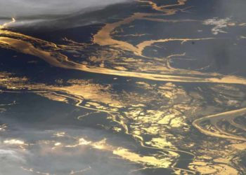 Những điều bạn chưa biết về Amazon - 3