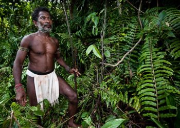 Thợ săn bắt - hái lượm Philippines: người kể chuyện đáng mến - 2