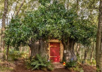 Ngôi nhà Airbnb lấy cảm hứng từ Winnie-the-Pooh của Disney