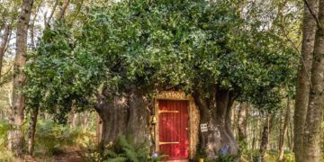 Ngôi nhà Airbnb lấy cảm hứng từ Winnie-the-Pooh của Disney