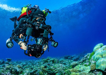 Rolex Awards For Enterprise 2021 công bố năm người chiến thắng