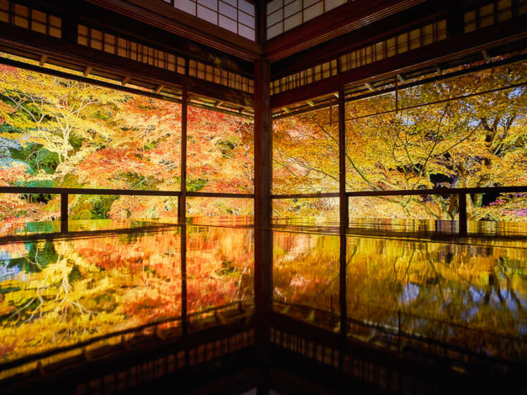 Đền Ruriko-in, Kyoto