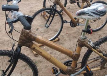 Tre, có thể bạn chưa biết - 4