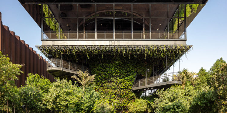 Gian hàng Singapore tại Expo 2020 Dubai để giới thiệu tầm nhìn Xanh về Thành phố trong thiên nhiên