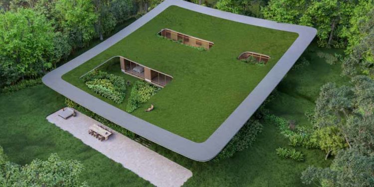 Bóng dáng những hàng ba