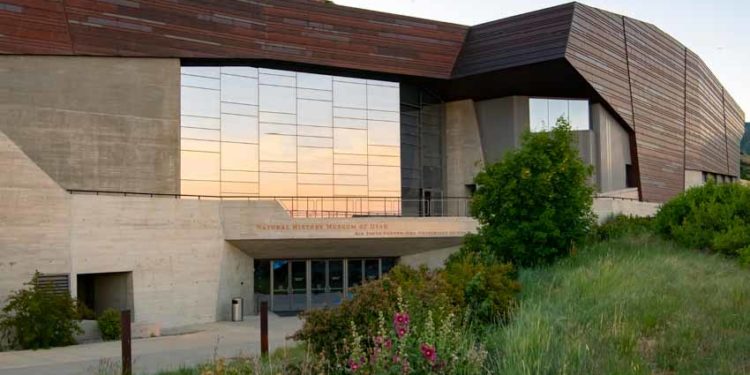 Bảo tàng không cần tường bao