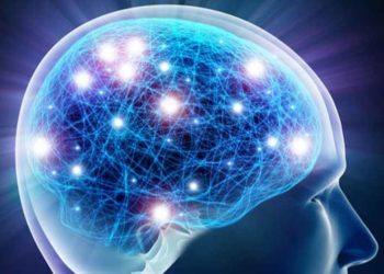 Thần kinh có một cơ chế gọi là “cân bằng các tế bào thần kinh"