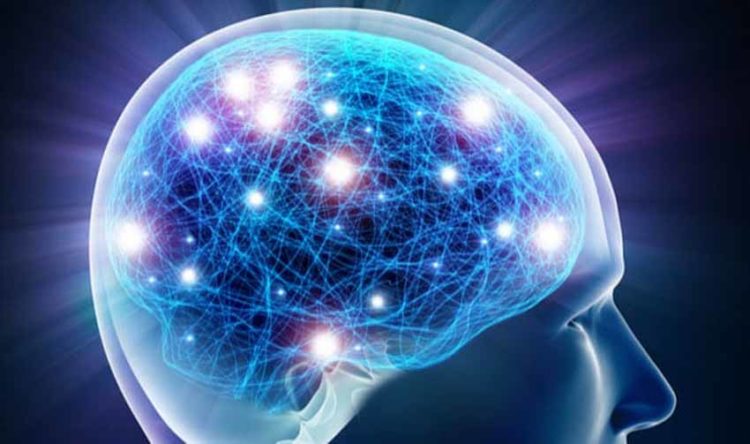 Thần kinh có một cơ chế gọi là “cân bằng các tế bào thần kinh"