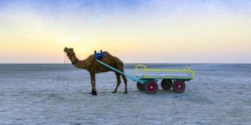 Sự sống kỳ diệu trong đầm lầy muối lớn nhất thế giới - 4