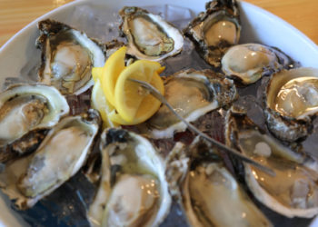 Điều gì xảy ra nếu hàu biển nuốt những vi hạt plastic?