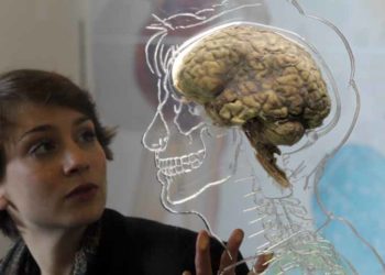 Những điều kỳ lạ của cơ thể con người - 4