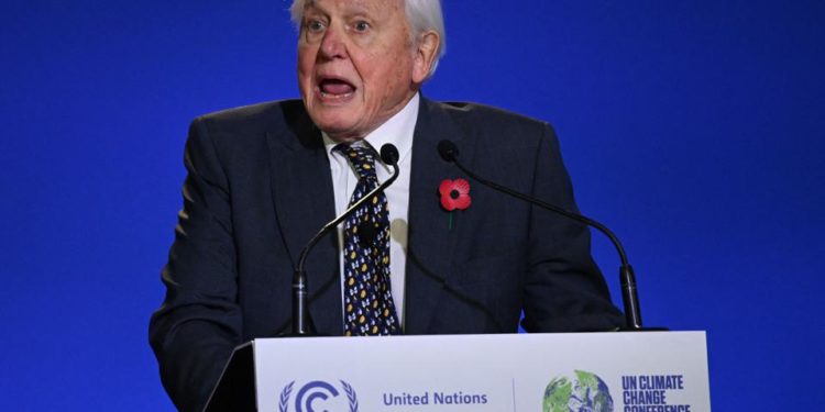  “Thế giới đang nhìn vào quý vị”