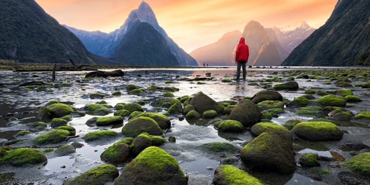 New Zealand nới lỏng kiểm dịch nhưng vẫn chưa chào đón khách du lịch