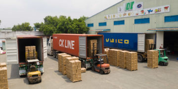 Cổ phiếu Gỗ Đức Thành liên tiếp lập đỉnh mới
