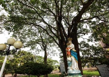 Bình yên nơi thánh địa La Vang - 2