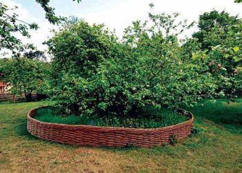 Cây táo của Newton - 2