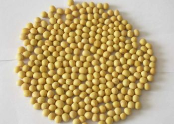 Đậu nành giúp giảm nếp nhăn