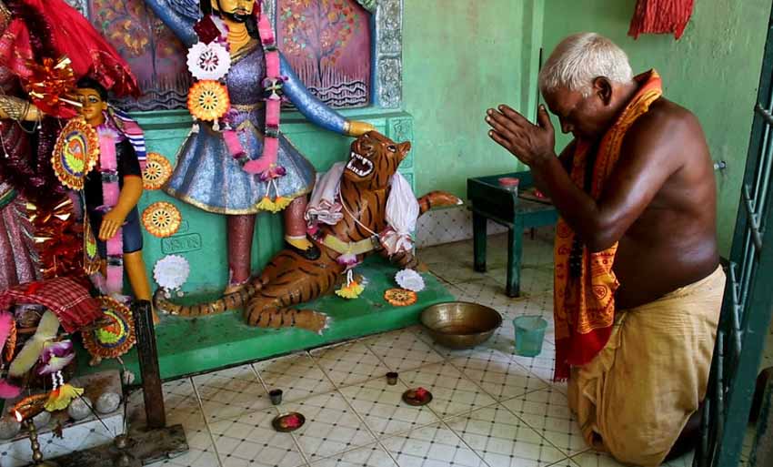 Sống với hổ Bengal trong rừng ngập mặn Sundarbans - 12