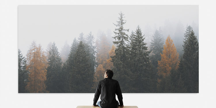 365 điều tạo nên hạnh phúc: Một phần trăm quý báu