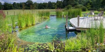 Khu vườn sinh thái cho ngôi nhà đô thị - Khu vườn sinh thái cho ngôi nhà đô thị - 2